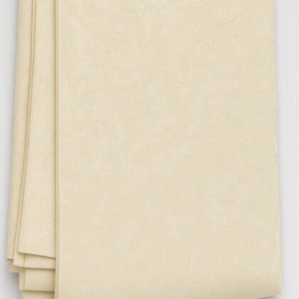KashiFab Cream Fancy Jacquard Blouse Fabric - CHO 776