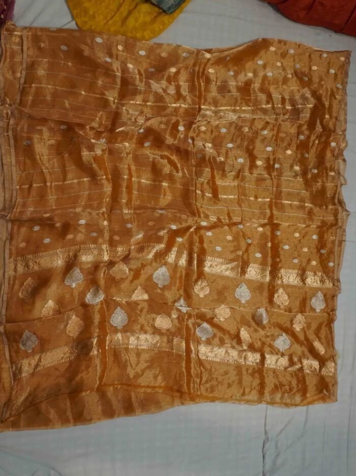 KashiFab Burnt Orange Banarasi Silk Saree 1 KashiFab Burnt Orange Banarasi Silk Saree online - authentic Varanasi Banarasi silk saree
