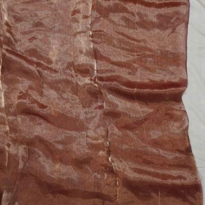 KashiFab Burnt Orange Banarasi Silk Saree online - authentic Varanasi Banarasi silk saree - detail view 2