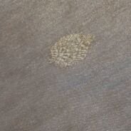 KashiFab Burnt Orange Banarasi Silk Saree online - authentic Varanasi Banarasi silk saree - detail view 4
