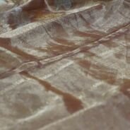 KashiFab Burnt Orange Banarasi Silk Saree online - authentic Varanasi Banarasi silk saree - detail view 8