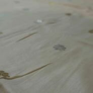 KashiFab Mustard Gold Banarasi Silk Dupatta online - authentic Varanasi Banarasi silk dupatta - detail view 2