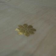 KashiFab Mustard Gold Banarasi Silk Dupatta online - authentic Varanasi Banarasi silk dupatta - detail view 3