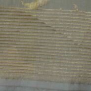 KashiFab Mustard Gold Banarasi Silk Dupatta online - authentic Varanasi Banarasi silk dupatta - detail view 4