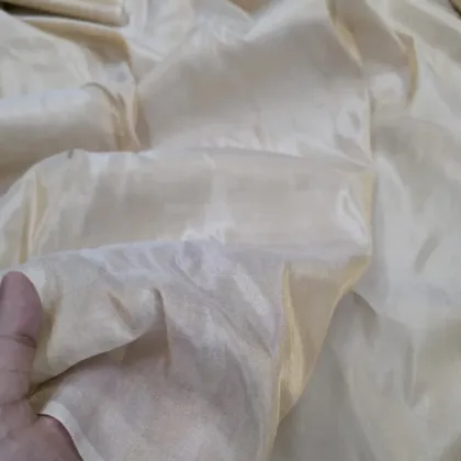 KashiFab Off-White Pale Gold Banarasi Tissue Silk Fabric - Sheer Metallic Metre