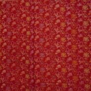 KashiFab Ruby Red Banarasi Silk Saree online - authentic Varanasi Banarasi silk saree - detail view 2