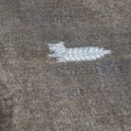 KashiFab Silver Grey Banarasi Silk Saree online - authentic Varanasi Banarasi silk saree - detail view 2